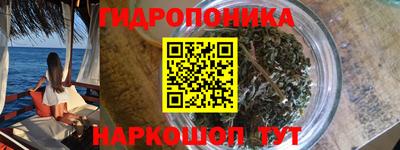 индика Балахна