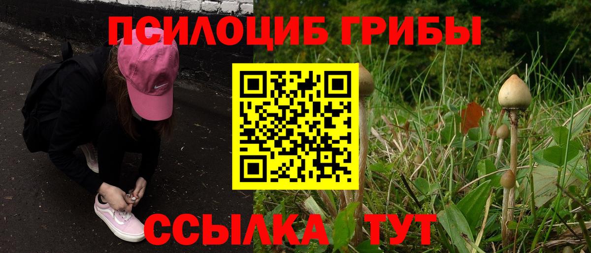 Псилоцибиновые грибы мицелий  Псилоцибиновые грибы MAGIC MUSHROOMS  Ростов-на-Дону 
