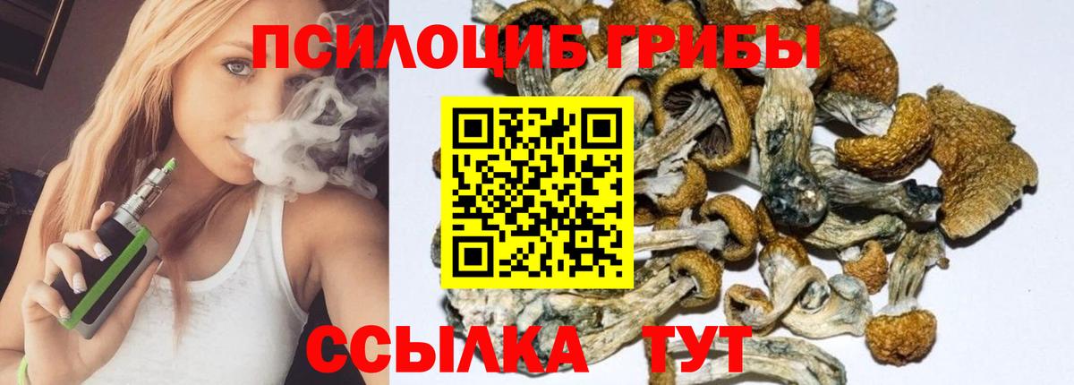 как найти   Псилоцибиновые грибы GOLDEN TEACHER  Вход с VPN  Ростов-на-Дону 