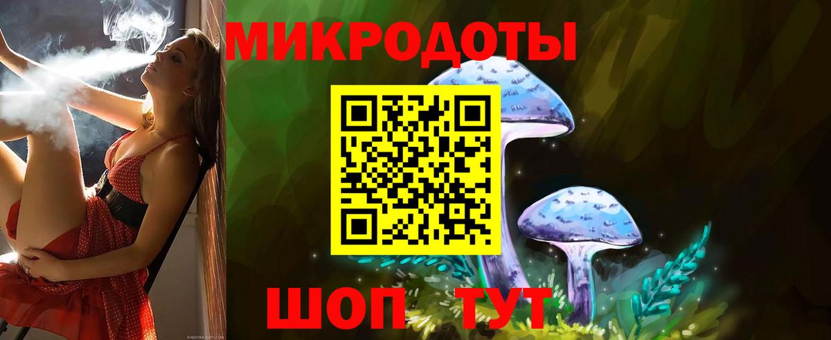 Псилоцибиновые грибы Cubensis Ростов-на-Дону