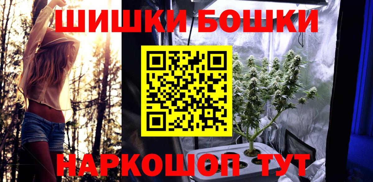 Конопля White Widow  Канабис план  Бошки Шишки планчик  Ростов-на-Дону  Вход с VPN  Каннабис гибрид 